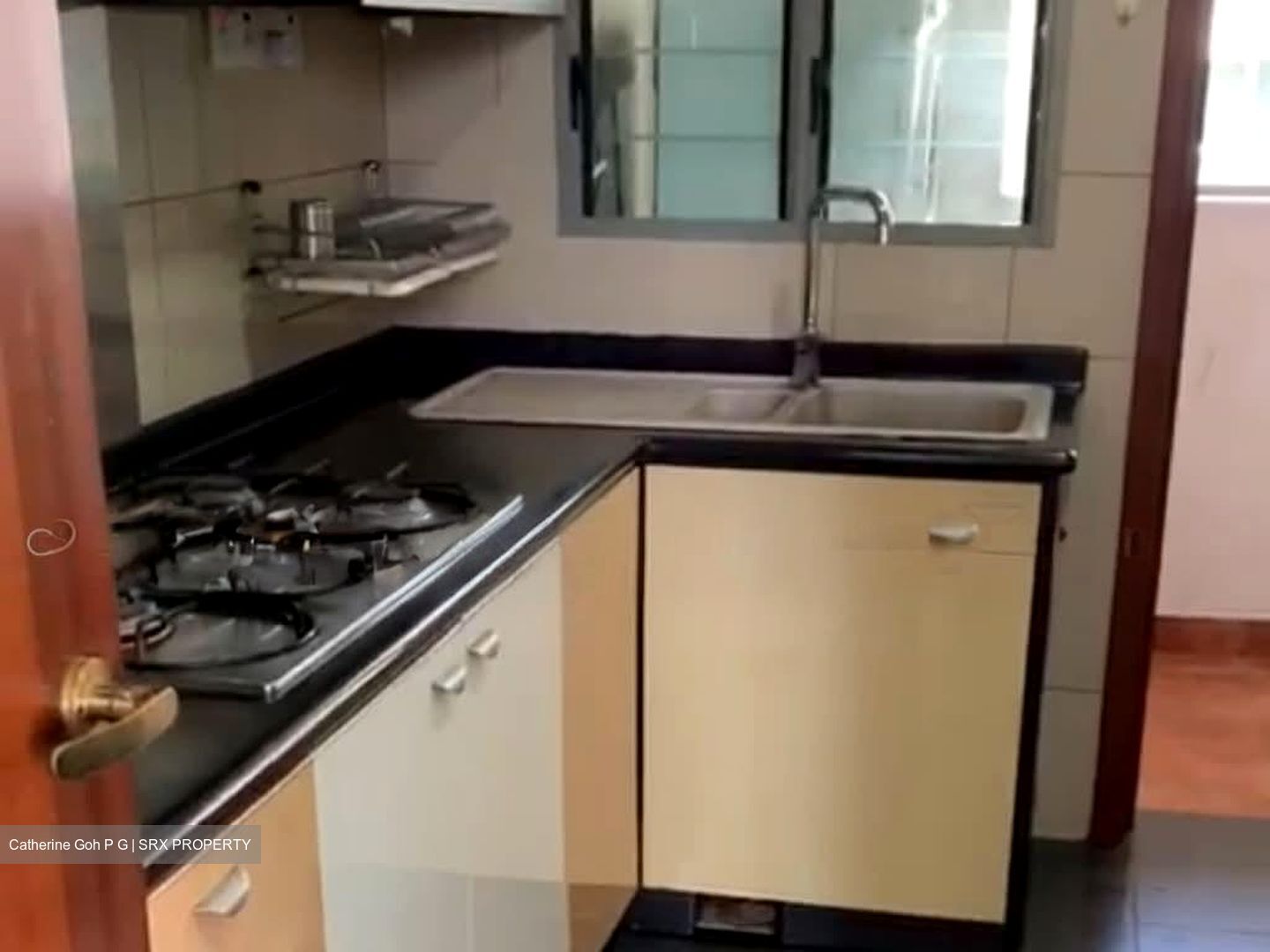 Sunhaven (D16), Condominium #604816251